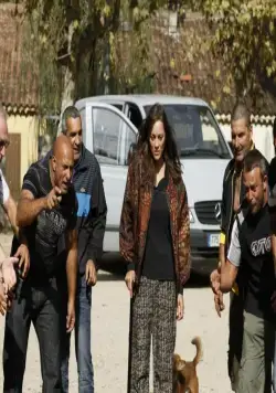 Ржавчина и кость (2012) в хорошем качестве через торрент Ржавчина и кость (2012) фильм в хорошем качестве через торрент