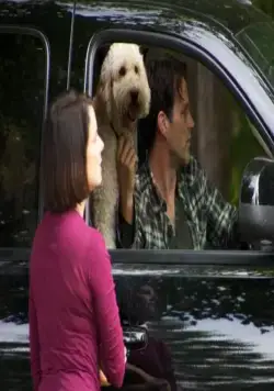 Пустошь (2011) через торрент скачать Пустошь (2011) фильм через торрент скачать