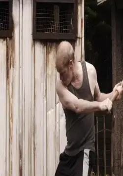 Тираннозавр (2011) через торрент скачать Тираннозавр (2011) фильм через торрент скачать