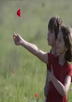 Сфера колдовства (2011) через торрент скачать Сфера колдовства (2011) фильм через торрент скачать