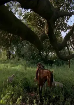 После мрака свет (2012) в хорошем качестве через торрент После мрака свет (2012) фильм в хорошем качестве через торрент