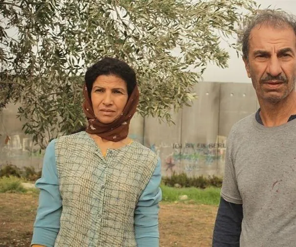 Перелетные свиньи (2011) через торрент бесплатно Перелетные свиньи (2011) фильм через торрент бесплатно