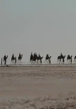 Черное золото (2011) через торрент бесплатно Черное золото (2011) фильм через торрент бесплатно