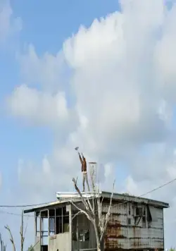 Звери дикого Юга (2012) в хорошем качестве через торрент Звери дикого Юга (2012) фильм в хорошем качестве через торрент