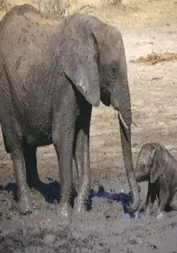 Жизнь (2011) через торрент бесплатно Жизнь (2011) фильм через торрент бесплатно