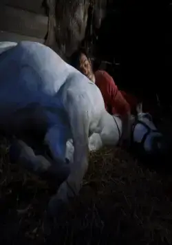 Неуловимый Люк (2009) через торрент скачать Неуловимый Люк (2009) фильм через торрент скачать