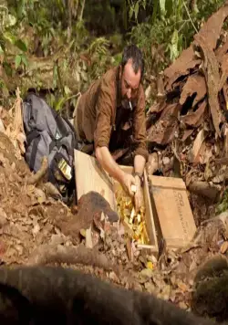 600 кг золота (2010) через торрент скачать 600 кг золота (2010) фильм через торрент скачать