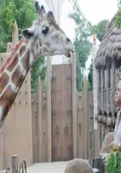 Мой парень из зоопарка (2011) в хорошем качестве через торрент Мой парень из зоопарка (2011) фильм в хорошем качестве через торрент