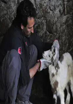 Четырежды (2010) в хорошем качестве через торрент Четырежды (2010) фильм в хорошем качестве через торрент