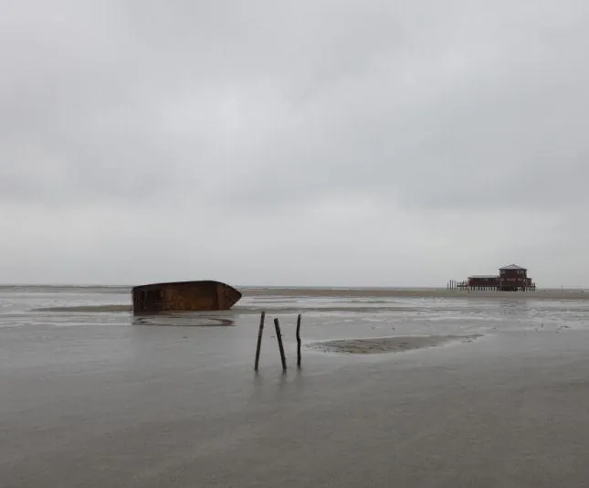 Чрево (2010) через торрент скачать Чрево (2010) фильм через торрент скачать