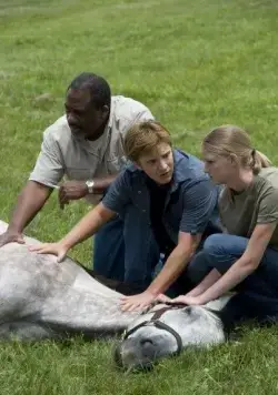 Безответная любовь (2010) в хорошем качестве через торрент Безответная любовь (2010) фильм в хорошем качестве через торрент