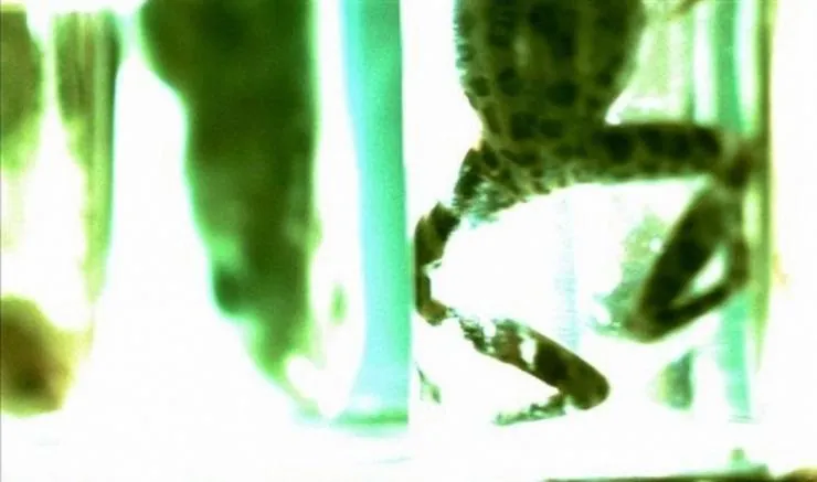 Коллекционер (2009) через торрент бесплатно Коллекционер (2009) фильм через торрент бесплатно