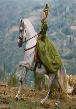 Принцесса де Монпансье (2010) через торрент бесплатно Принцесса де Монпансье (2010) фильм через торрент бесплатно