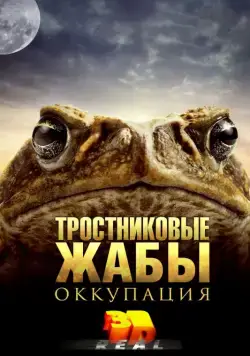 Тростниковые жабы: Оккупация / Cane Toads: The Conquest (2010) фильм скачать через торрент в хорошем качестве