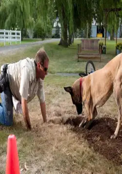 Мармадюк (2010) через торрент бесплатно Мармадюк (2010) фильм через торрент бесплатно