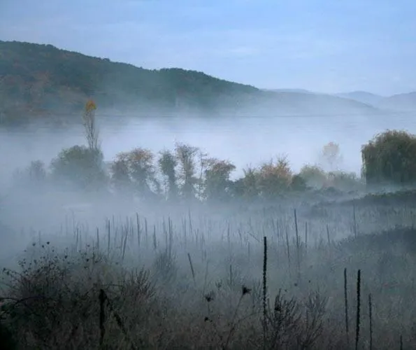 Туман (2010) в хорошем качестве через торрент Туман (2010) фильм в хорошем качестве через торрент