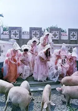 Принцесса на горошине (1976) через торрент скачать Принцесса на горошине (1976) фильм через торрент скачать