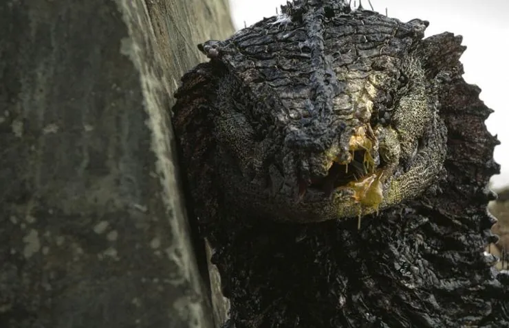 Ракка (2017) через торрент скачать Ракка (2017) фильм через торрент скачать