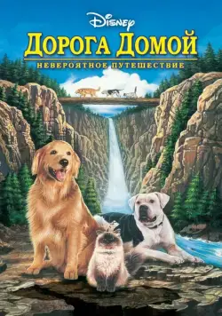 Дорога домой: Невероятное путешествие / Homeward Bound: The Incredible Journey (1993) фильм скачать через торрент в хорошем качестве