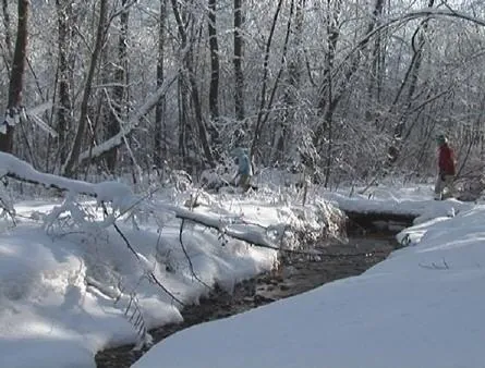 Век глупцов (2009) в хорошем качестве через торрент Век глупцов (2009) фильм в хорошем качестве через торрент