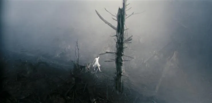 Антихрист (2009) через торрент бесплатно Антихрист (2009) фильм через торрент бесплатно