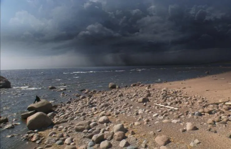 Тайны смерти (2009) через торрент скачать Тайны смерти (2009) фильм через торрент скачать