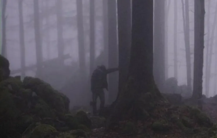 Озеро (2008) через торрент скачать Озеро (2008) фильм через торрент скачать