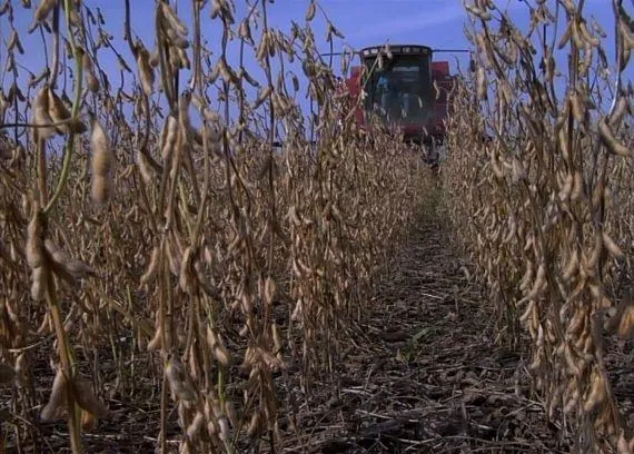 Корпорация «Еда» (2008) через торрент бесплатно Корпорация «Еда» (2008) фильм через торрент бесплатно