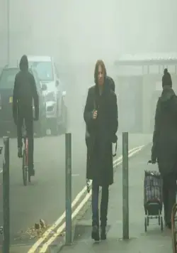 Уличный кот по кличке Боб (2016) через торрент бесплатно Уличный кот по кличке Боб (2016) фильм через торрент бесплатно