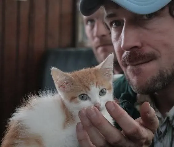 Трикл Мл. (2010) через торрент скачать Трикл Мл. (2010) фильм через торрент скачать