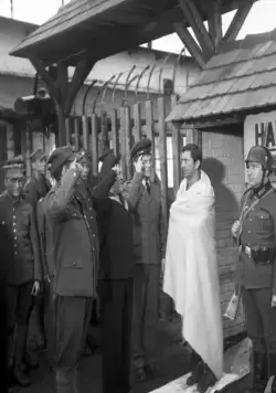 Приключения канонира Доласа (1970) через торрент скачать Приключения канонира Доласа (1970) сериал через торрент скачать