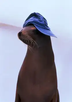 Хлопушка и Вонючки (1998) в хорошем качестве через торрент Хлопушка и Вонючки (1998) фильм в хорошем качестве через торрент