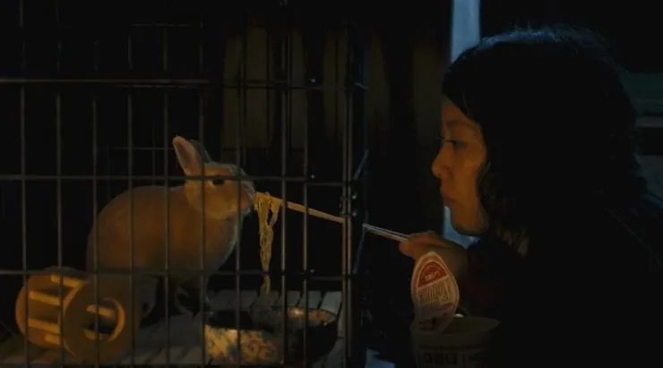 Кумико – охотница за сокровищами (2014) в хорошем качестве через торрент Кумико – охотница за сокровищами (2014) фильм в хорошем качестве через торрент