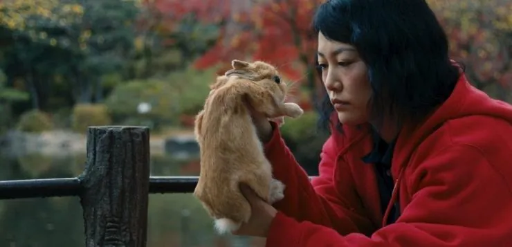 Кумико – охотница за сокровищами (2014) через торрент скачать Кумико – охотница за сокровищами (2014) фильм через торрент скачать