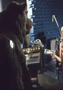 Деревенские медведи (2002) через торрент бесплатно Деревенские медведи (2002) фильм через торрент бесплатно