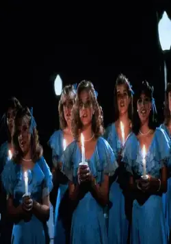 Месть придурков (1984) через торрент скачать Месть придурков (1984) фильм через торрент скачать