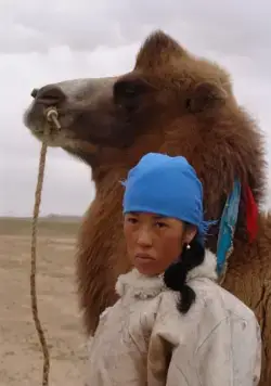 Свадьба Туи (2006) в хорошем качестве через торрент Свадьба Туи (2006) фильм в хорошем качестве через торрент