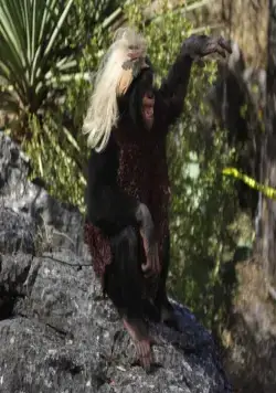 Гомо Эректус (2007) в хорошем качестве через торрент Гомо Эректус (2007) фильм в хорошем качестве через торрент