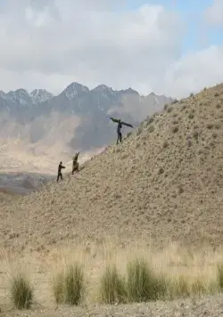 Баксы (2008) через торрент скачать Баксы (2008) фильм через торрент скачать