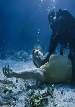 Золото дураков (2008) через торрент скачать Золото дураков (2008) фильм через торрент скачать