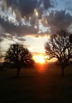 Безмолвный свет (2007) через торрент скачать Безмолвный свет (2007) фильм через торрент скачать