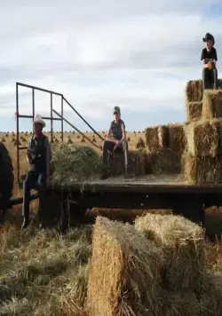 Безмолвный свет (2007) в хорошем качестве через торрент Безмолвный свет (2007) фильм в хорошем качестве через торрент