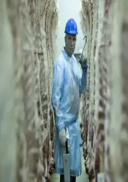 Полуночный экспресс (2008) через торрент бесплатно Полуночный экспресс (2008) фильм через торрент бесплатно