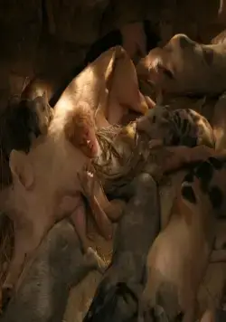 Миллион лет до нашей эры 2 (2007) через торрент скачать Миллион лет до нашей эры 2 (2007) фильм через торрент скачать