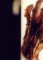 Коллекционер (2001) в хорошем качестве через торрент Коллекционер (2001) фильм в хорошем качестве через торрент