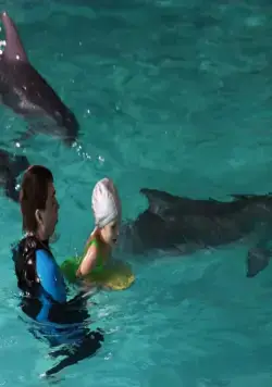 По следу Феникса (2009) через торрент скачать По следу Феникса (2009) фильм через торрент скачать