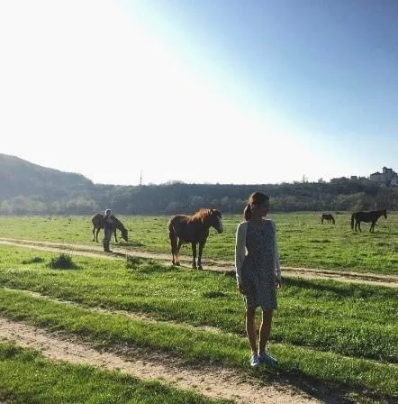 Злая шутка (2016) через торрент бесплатно Злая шутка (2016) фильм через торрент бесплатно