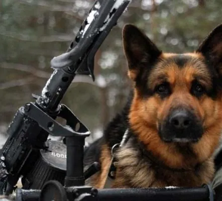 Двое (2010) через торрент скачать Двое (2010) фильм через торрент скачать