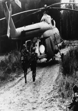 В зоне особого внимания (1977) в хорошем качестве через торрент В зоне особого внимания (1977) фильм в хорошем качестве через торрент