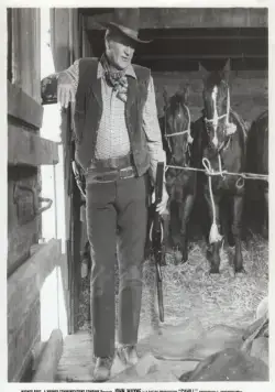 Жестяная звезда (1973) через торрент бесплатно Жестяная звезда (1973) фильм через торрент бесплатно